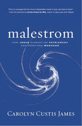 Malestrom: How Jesus Dismantles Patriarchy and Redefines Manhood - Paperback