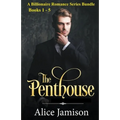 A Billionaire Romance Series Bundle Books 1 - 5 The Penthouse - Paperback