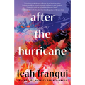 After the Hurricane - Paperback