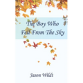 The Boy Who Fell From the Sky - Paperback