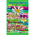 The Fantastical Tumultuous Non-stop Thoughts of Linda! - Paperback