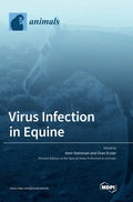 Virus Infection in Equine - Hardcover