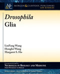 Drosophila Glia - Paperback