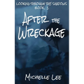 After the Wreckage - Paperback