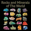Rocks and Minerals of The World - Paperback