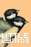Little Birds - Paperback