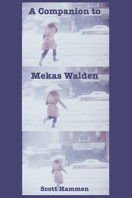A Companion to Mekas Walden: A Guide to Jonas Mekas's Diaries, Notes and Sketches - Paperback