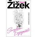 Surplus-Enjoyment: A Guide for the Non-Perplexed - Paperback