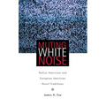 Muting White Noise: Native American and European American Novel Traditions - Paperback