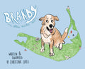 Brandy: A NiSHA Adoption Story - Hardcover