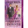 Lady Mary's Dangerous Encounter - Paperback