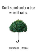 Don't Stand Under a Tree When It Rains - Paperback