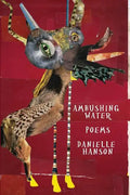 Ambushing Water - Paperback