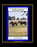 The Thoroughbred Female Families That Have Dominated The Racing World - Paperback