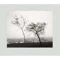 Robert Adams: Los Angeles Spring - Hardcover