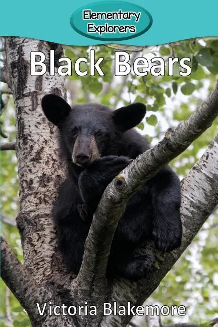 Black Bears - Paperback