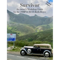 Survivor - Paperback