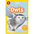 Owls (National Geographic Kids Readers, Level 1) - Paperback