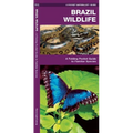 Brazil Wildlife: A Folding Pocket Guide to Familiar Animals - Paperback