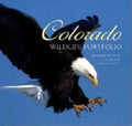 Colorado Wildlife Portfolio - Hardcover