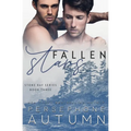 Fallen Stars - Paperback