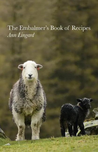 The Embalmer's Book of Recipes - Paperback
