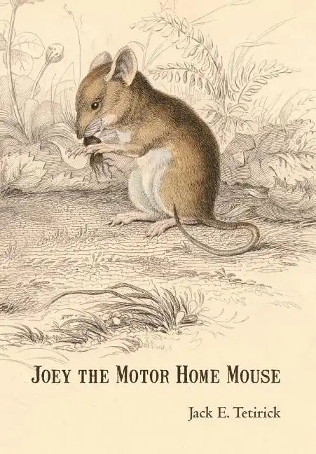 Joey the Motor Home Mouse - Hardcover