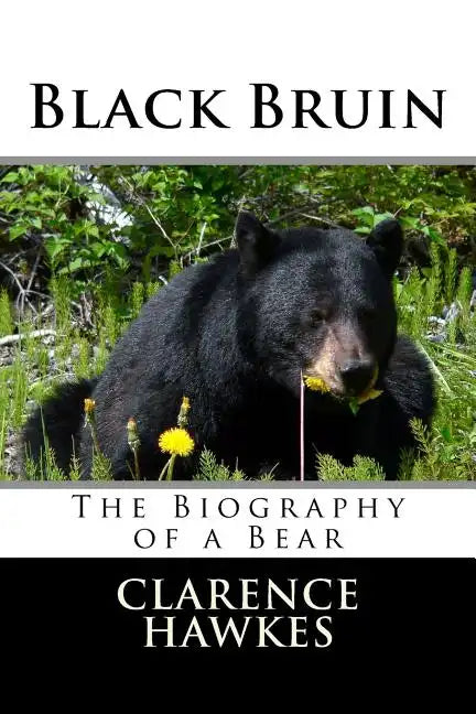 Black Bruin - Paperback