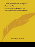 The Edwin Smith Surgical Papyrus V2: Facsimile Plates And Line For Line Hieroglyphic Transliteration - Paperback