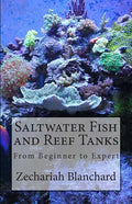 Saltwater Fish and Reef Tanks: From Beginner to Expert - Paperback