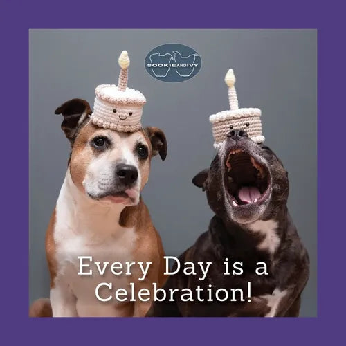 Sookie and Ivy Every Day Is a Celebration! - Hardcover