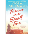 Famous in a Small Town: The Perfect Summer Read - Paperback