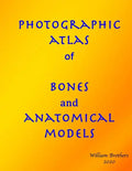 Photographic Atlas of Bones and Anatomical Models - Paperback