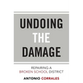 Undoing the Damage: Repairing a Broken School District - Paperback