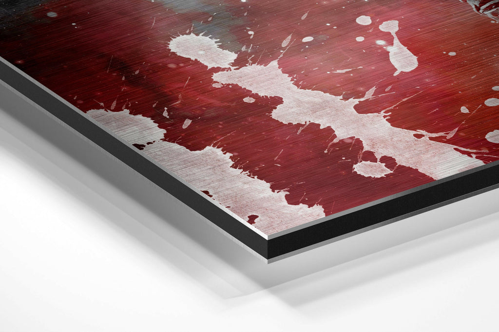 Fly in Space Brushed Aluminium Dibond Wall Art