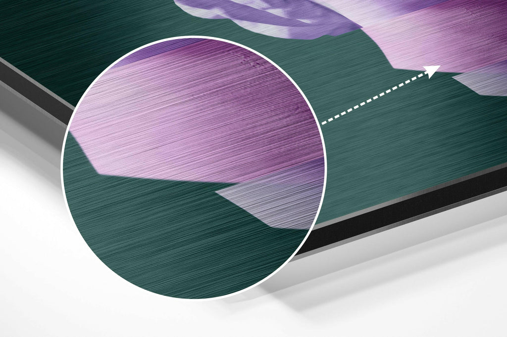 The Art of Sculpture Brushed Aluminium Dibond Wall Art