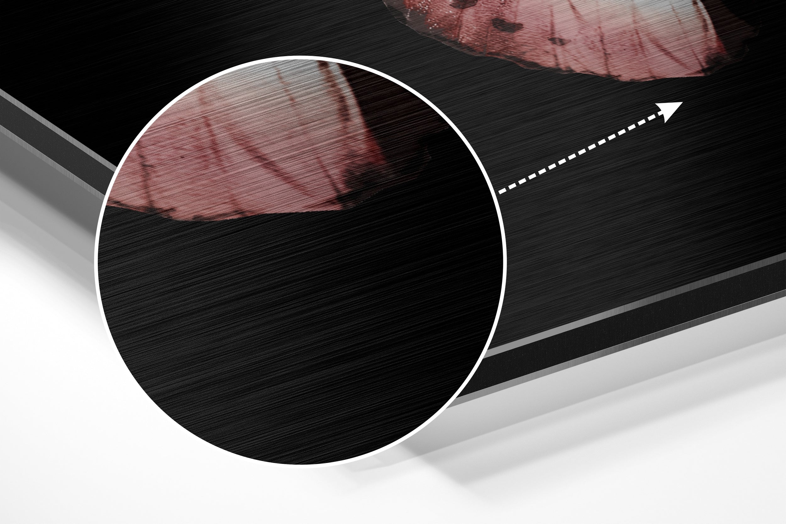 Butterfly Brushed Aluminium Dibond Wall Art