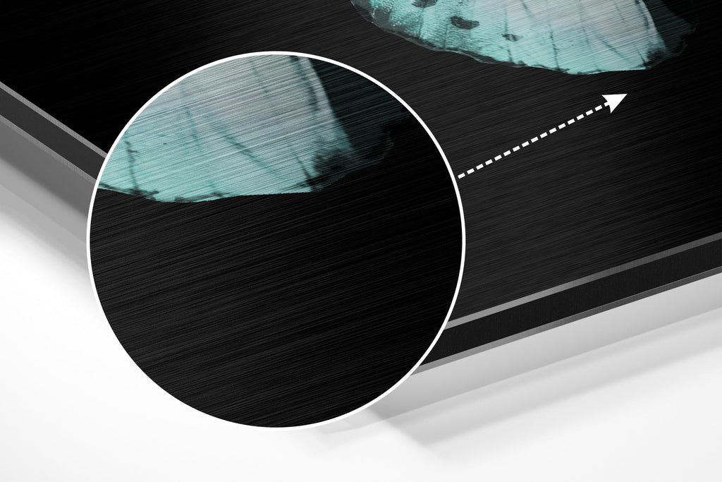 Butterfly Brushed Aluminium Dibond Wall Art