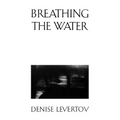 Breathing the Water - Paperback