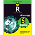 R All-In-One for Dummies - Paperback