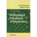 Mathematical Foundations of Neuroscience - Paperback