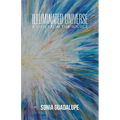 Illuminated Universe: A View from The Source - Paperback