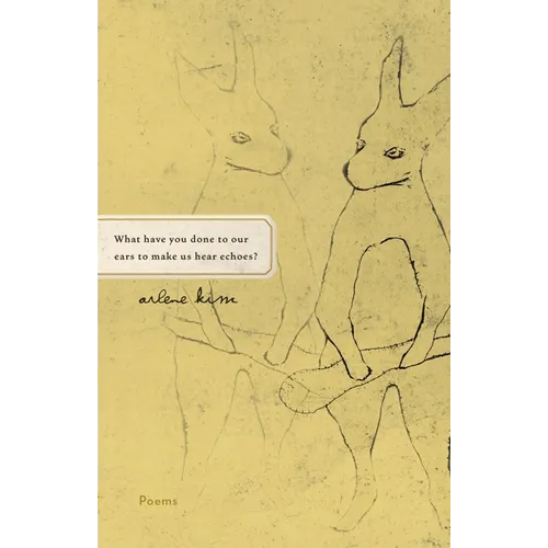 What Have You Done to Our Ears to Make Us Hear Echoes? - Paperback