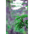 English Grammar Simplifier - Paperback