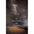 The Meaning of Names - Paperback