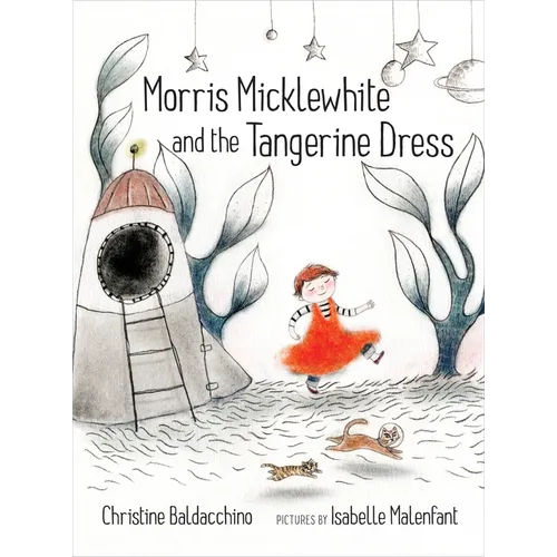 Morris Micklewhite and the Tangerine Dress - Hardcover