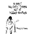 in night we coax things out of hidden shapes - Paperback
