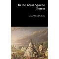 In the Great Apache Forest - Hardcover