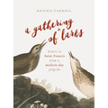 A Gathering of Larks: Letters to Saint Francis from a Modern-Day Pilgrim - Paperback