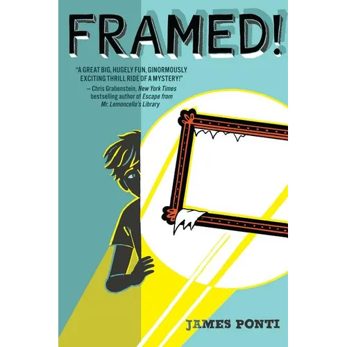 Framed! - Hardcover